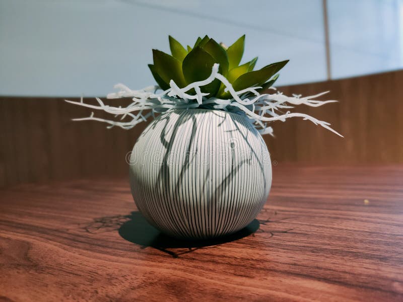 Plastic Plant Pots for Placing on the Dining Table. Stock Image Image