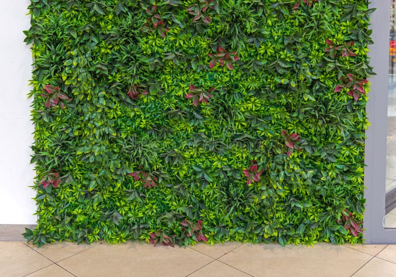 Plastic Plants Wall stock image. Image of decor, artificial 228642169