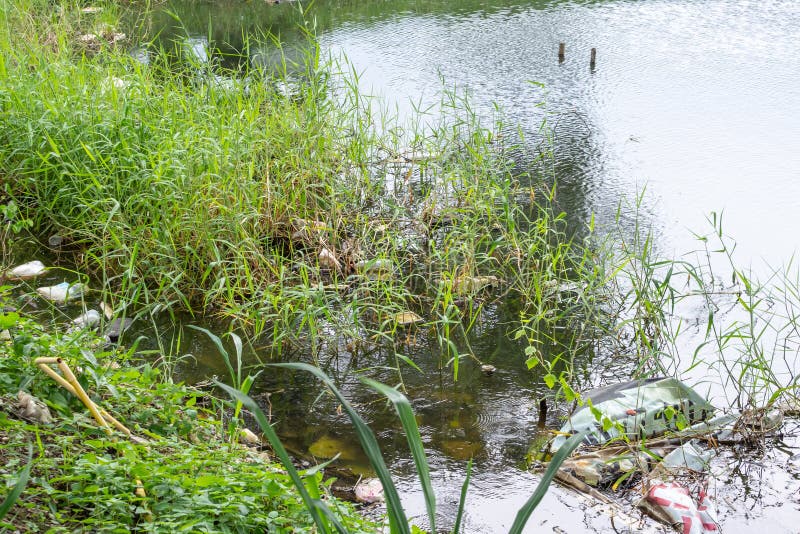 8,104 Pollution Pond Photos - Free & Royalty-Free Stock Photos from Dreamstime