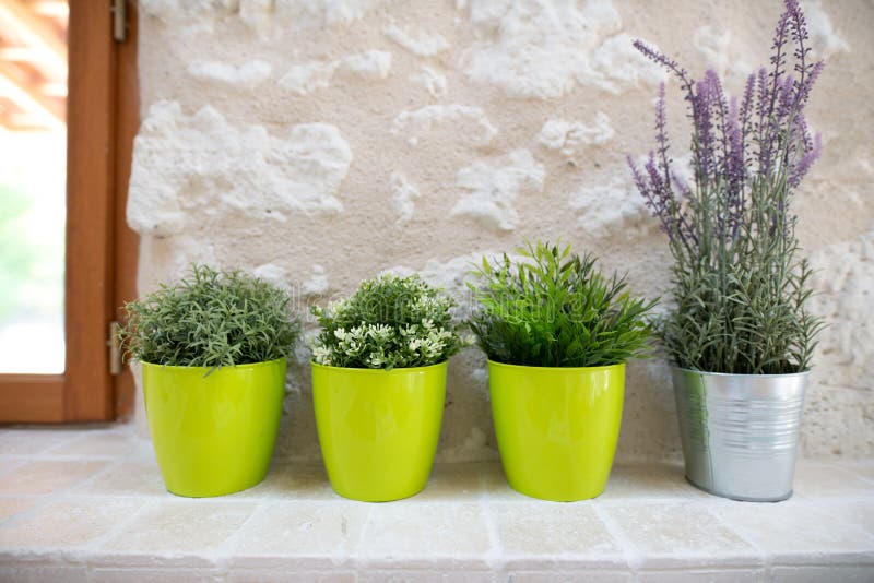 Potted Synthetic Succulents on White Window Sill. Stock Image Image