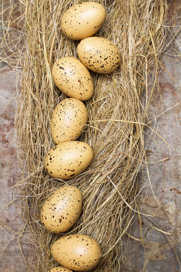 Plastic quail eggs stock photo. Image of table, white 159602308