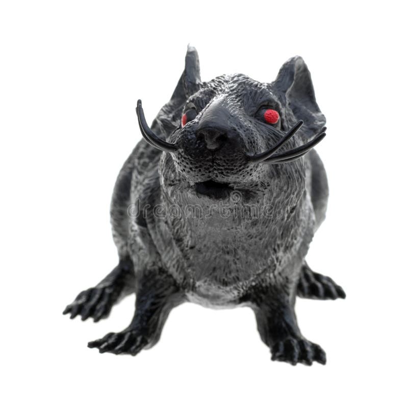 Plastic Rat on a White Background Stock Image Image of short