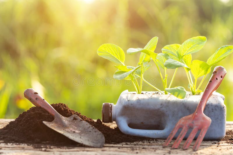 Plastic recycle concept : People planting vegetable in plastic b