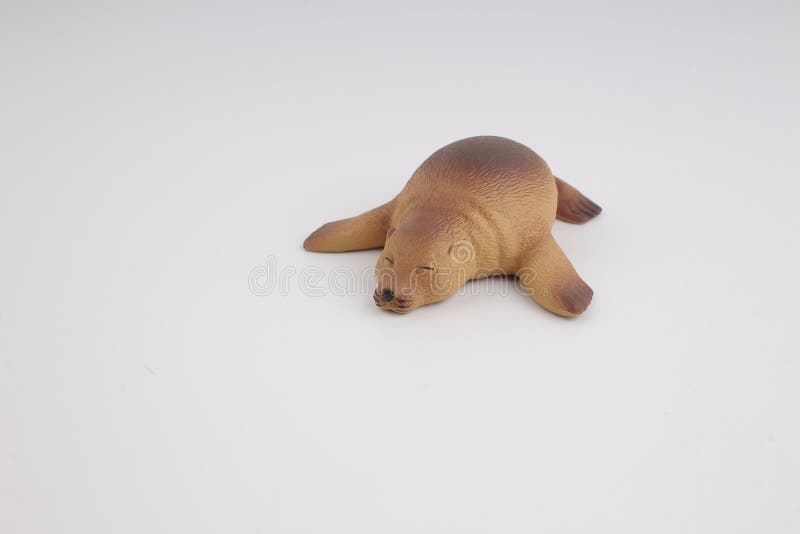 Plastic Sea Lion, Toy with Figure Stock Image Image of isolated, model 84971237