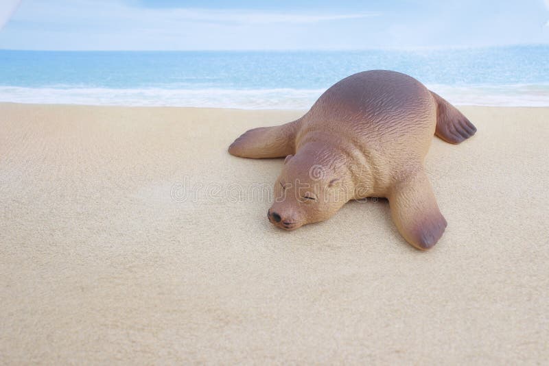 Plastic Sea Lion Toy with Figure Stock Photo Image of lion, object 94976304