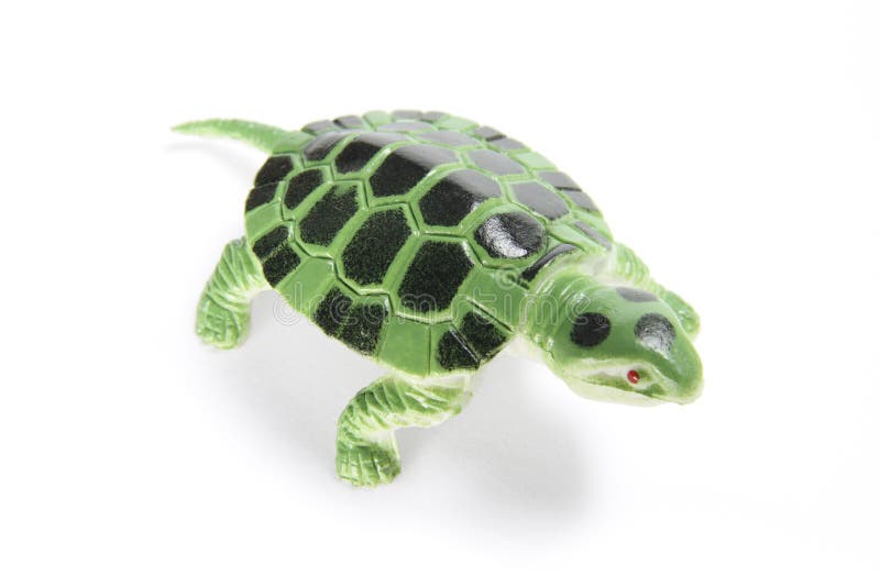 Plastic Tortoise stock image. Image of terrapin, creature 9246601
