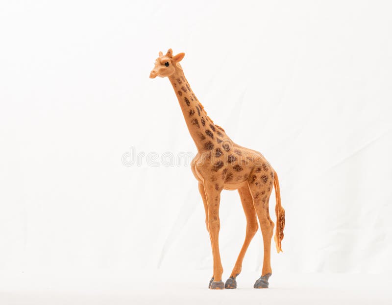 Plastic Toy Giraffe on White Background... Stock Image Image of
