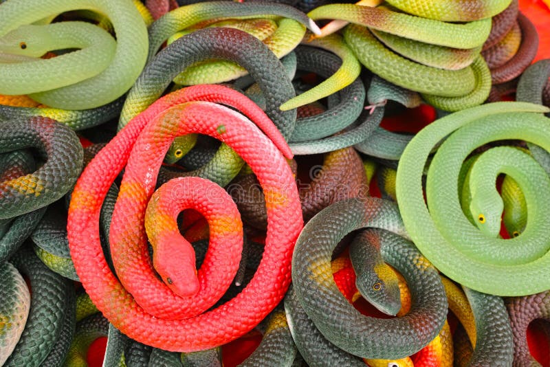 Plastic toy snakes stock photo. Image of vivid, plaything