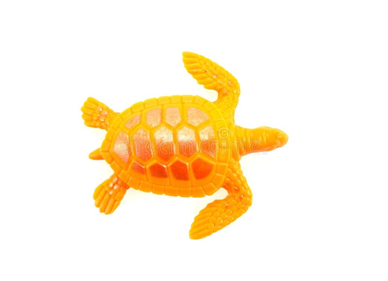 359 Turtle Plastic Toy Stock Photos Free & RoyaltyFree Stock Photos