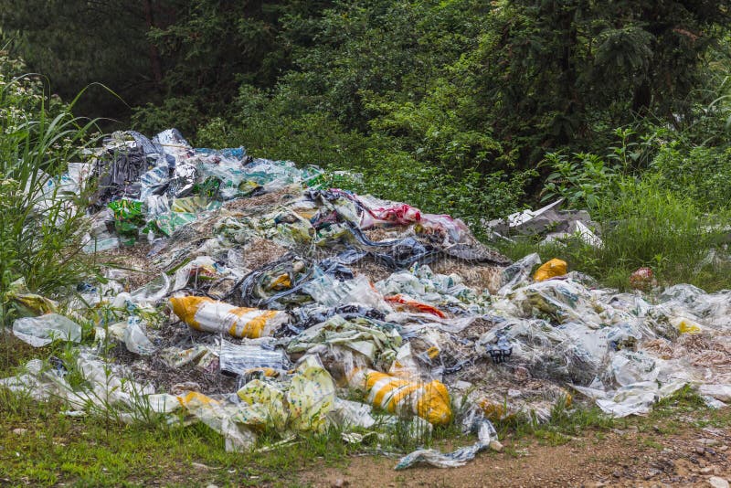 Disponer de el plastico, cesta, basura la izquierda junto suciedad carreteras sobre el de la ciudad en provincia.