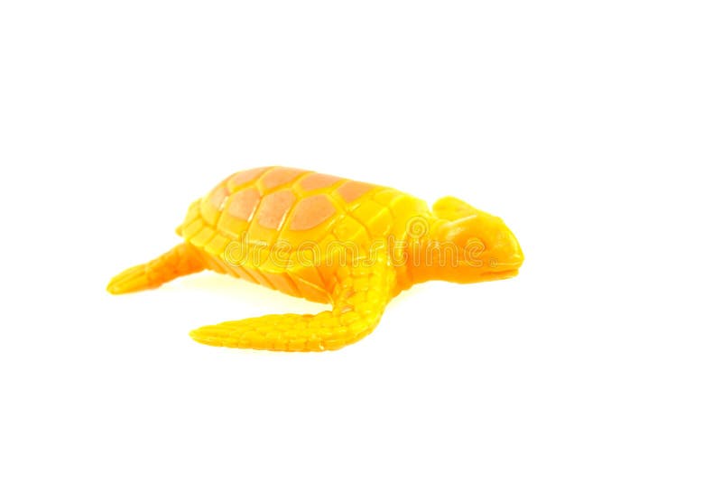 359 Turtle Plastic Toy Stock Photos Free & RoyaltyFree Stock Photos