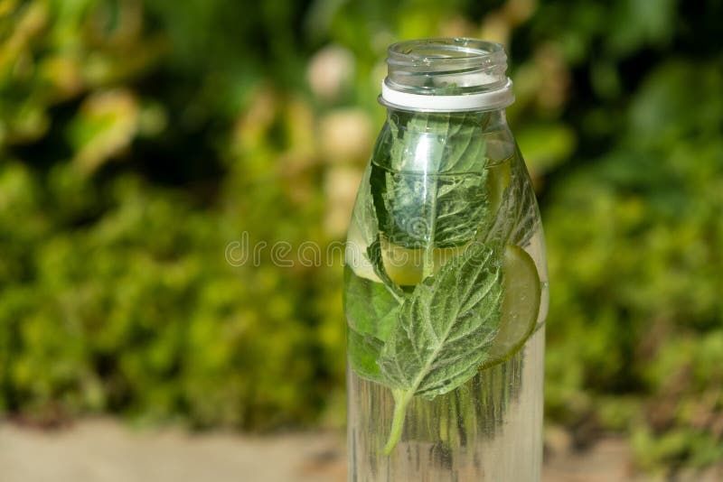 Plastic Water Bottle with Mint Leaves and Lime Slices. Refreshing