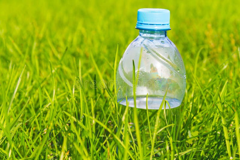 Plastic Water Bottle in Thick Green Grass in Sun. Stock Photo Image
