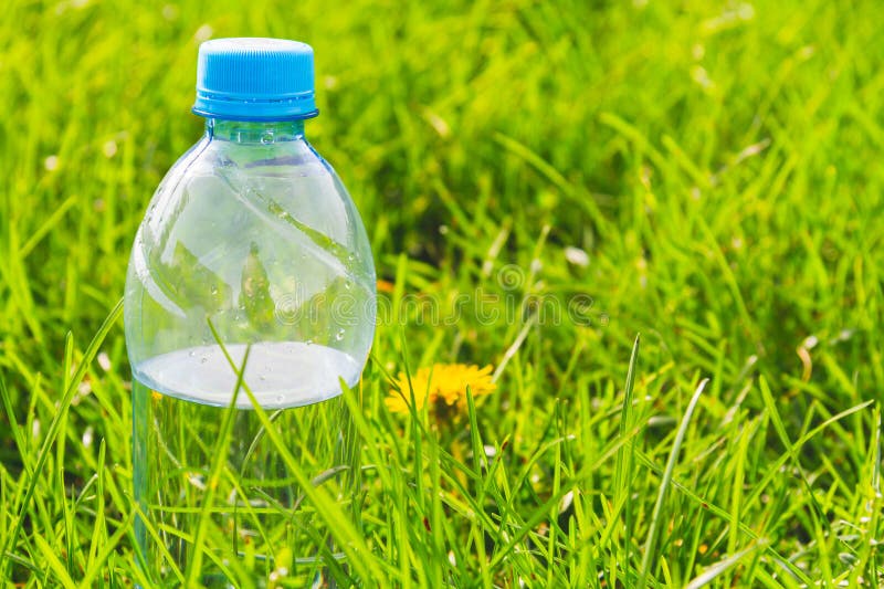 Plastic Water Bottle in Thick Green Grass in Sun. Stock Photo Image