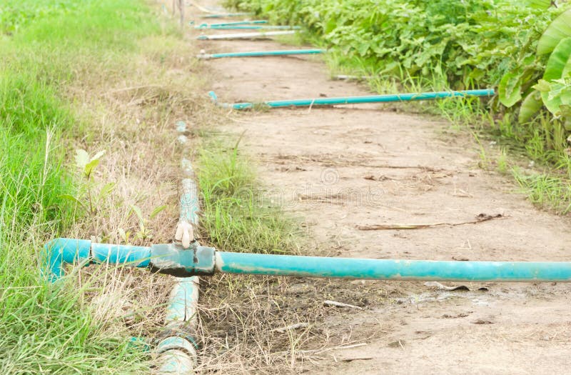 Plastic water pipe. stock photo. Image of growth, outside 35107680