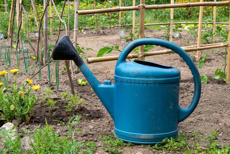 Plastic Watering Can in the Garden Stock Photo Image of soil, green 224087260