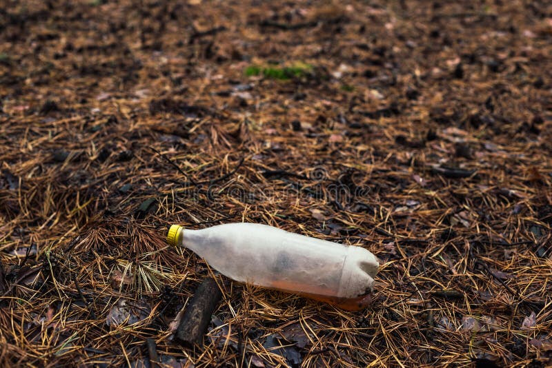 Plastic witte fles ter plaatse in het pijnboombos royalty-vrije stock foto's Plastic witte fles ter plaatse in het pijnboombos royalty-vrije stock foto's