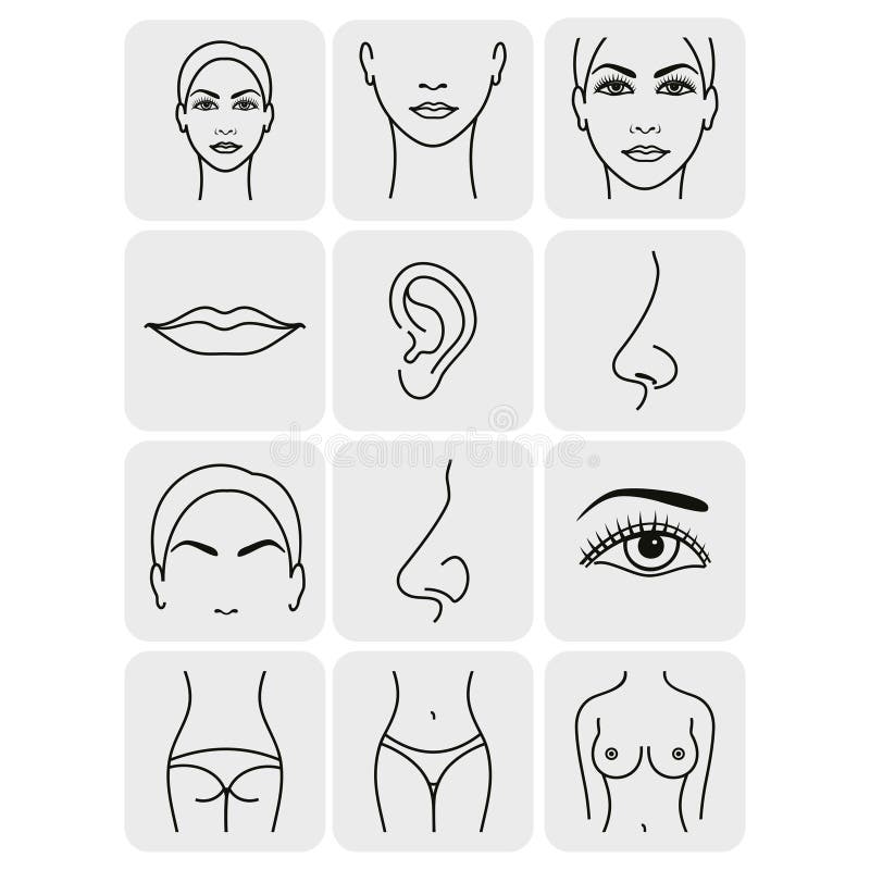 Female Breast Set. Different Types, Size and Form Stock Vector