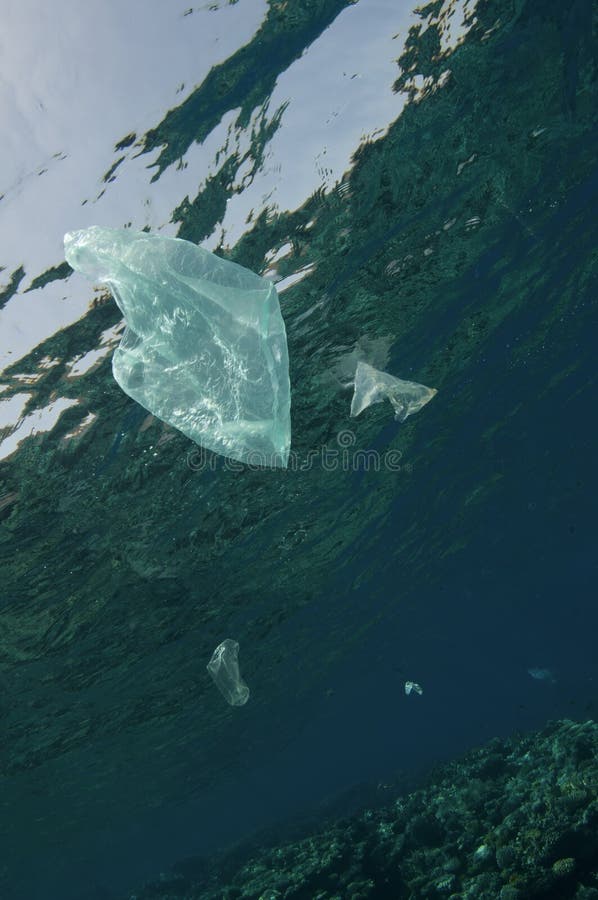 Plastik bag in ocean
