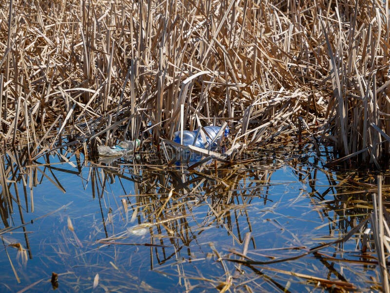 Plastikflasche in einem sauberen kleinen Teich stockfoto Plastikflasche in einem sauberen kleinen Teich stockfoto