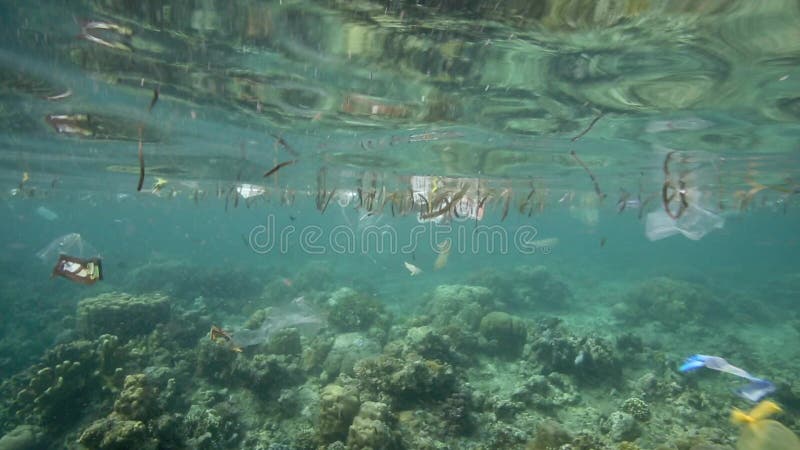 Plastiktaschen und anderer Abfall, die unter Wasser schwimmt