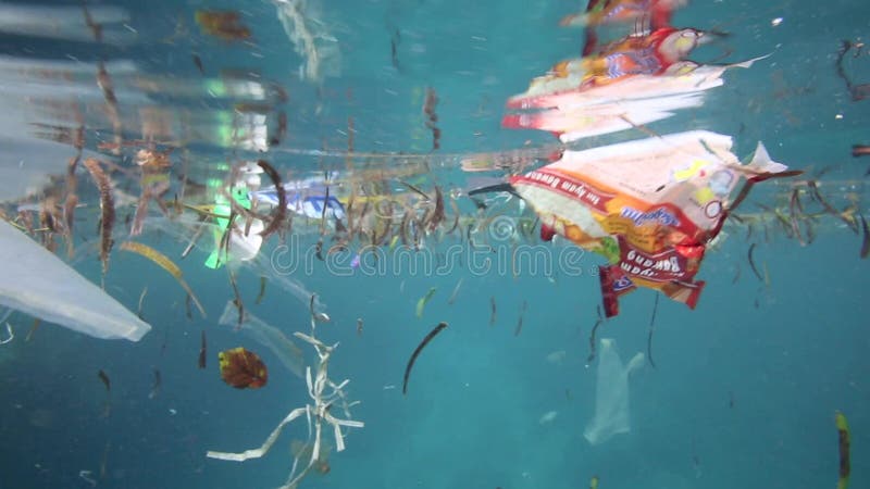 Plastiktaschen und anderer Abfall, die unter Wasser schwimmt