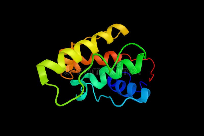 Plastin-2, une protéine a trouvé dans beaucoup de types de cellules humaines malignes illustration de vecteur Plastin-2, une protéine a trouvé dans beaucoup de types de cellules humaines malignes illustration de vecteur