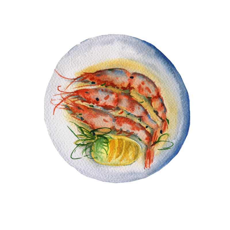 Crevette. Peinture D'aquarelle Illustration Stock - Illustration du