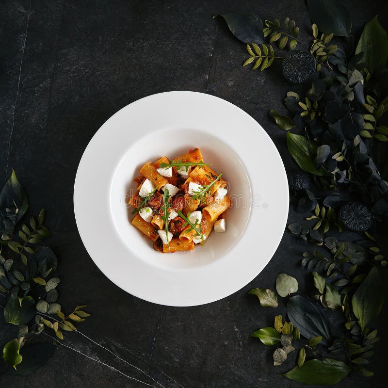 Plat blanc servant exquis de restaurant des pâtes de Rigatoni en sauce tomate avec la vue supérieure de mozzarella de lait photographie stock libre de droits Plat blanc servant exquis de restaurant des pâtes de Rigatoni en sauce tomate avec la vue supérieure de mozzarella de lait photographie stock libre de droits