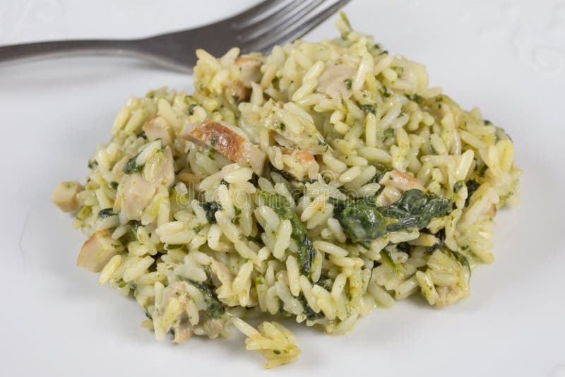 Chicken and Spinach Risotto Stock Image Image of plate, cooked 170899819