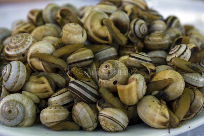 Cooked Snails Or Escargot Close Up Stock Photo Image of plate, lunch 119839970