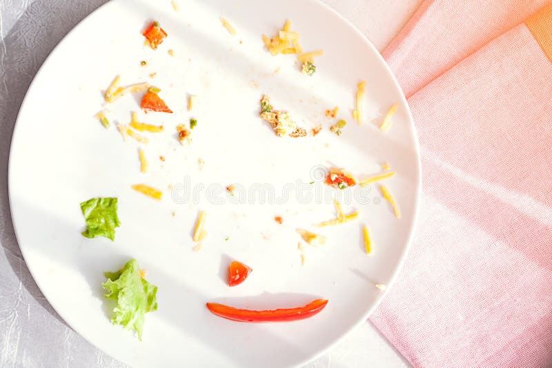 Plate with crumbs food and used fork royalty free stock photography
