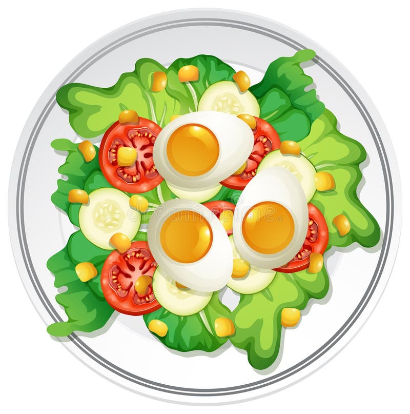 Clip Art Soup Salad Stock Illustrations 147 Clip Art Soup Salad Stock