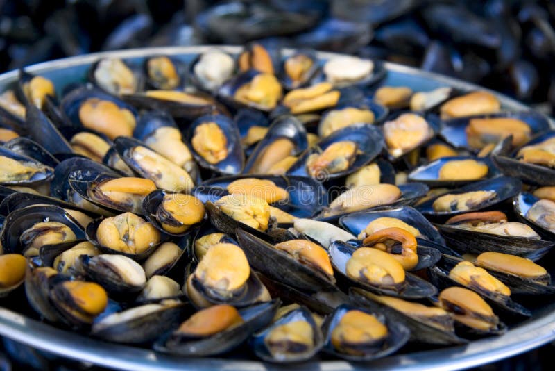 Plate of fresh mussels stock photo. Image of health, edible 9455466