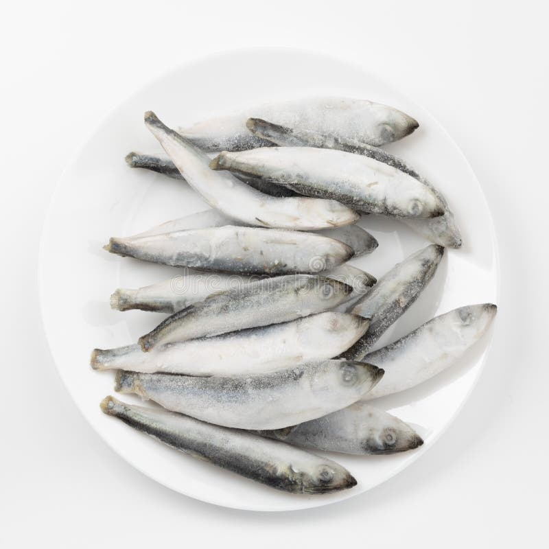 fish stock with fish heads fish stock with fish heads