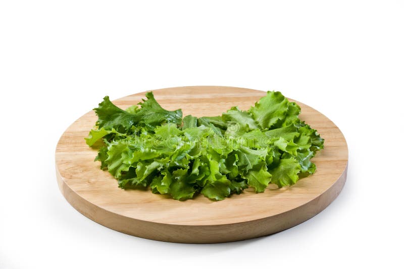 Plate with Lettuce Leaves stock image. Image of lettuce 190022849