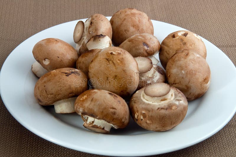 Plate of Mushrooms stock image. Image of fibre, minerals 14830419