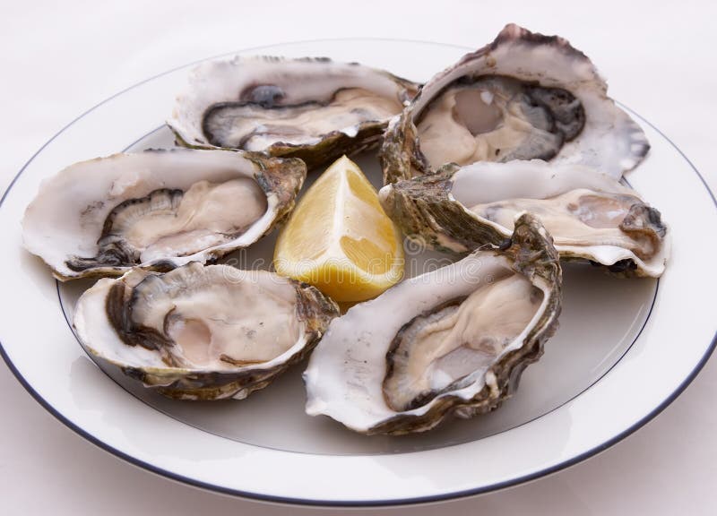 Plate Of Oysters stock photo