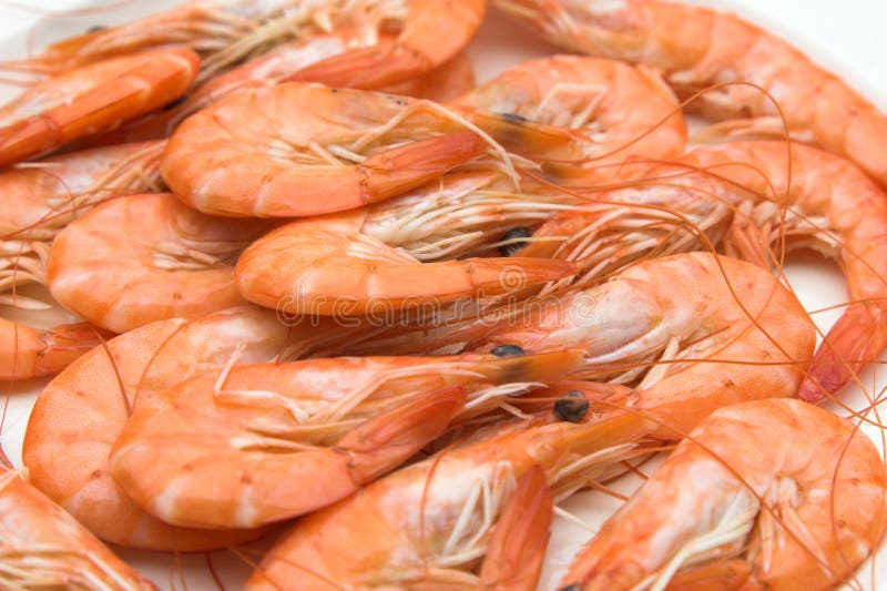 Plate of prawns stock image