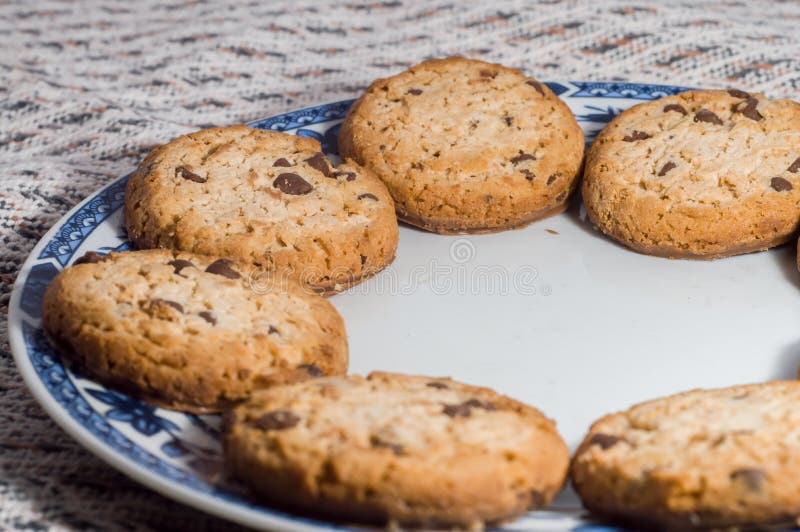 Plate with Vanilla Cookies and Chocolate Chips with Copy Space Stock