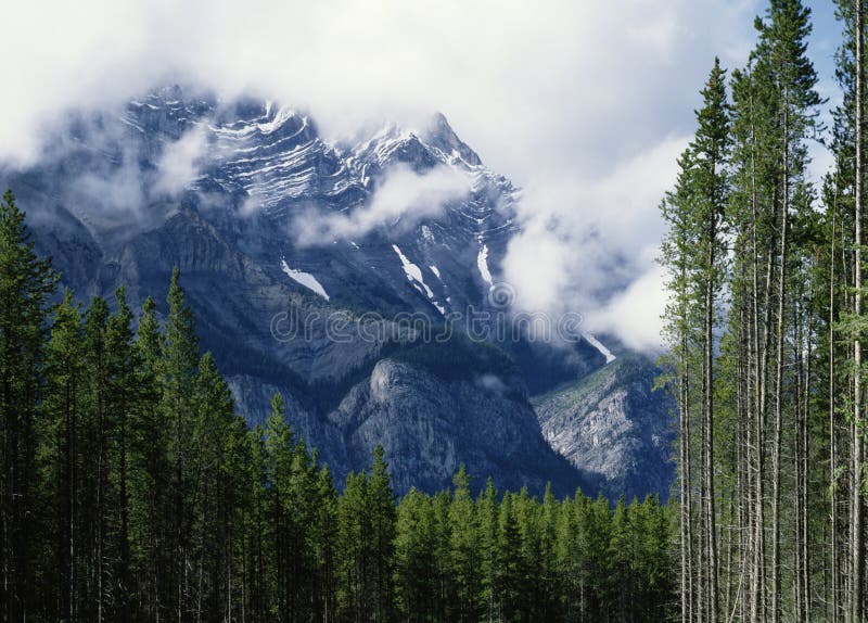 Plats för berg för alberta banff Kanada kaskad dimmig