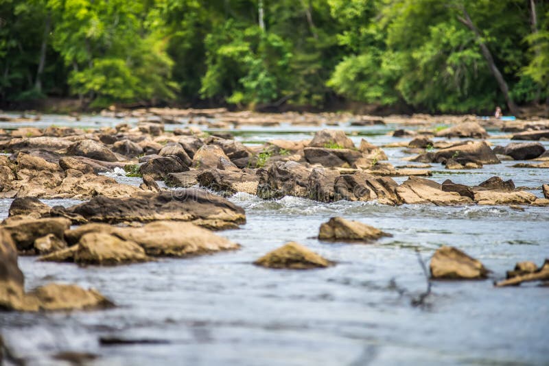 Platser runt om landsfordkanaldelstatspark i South Carolina royaltyfri bild