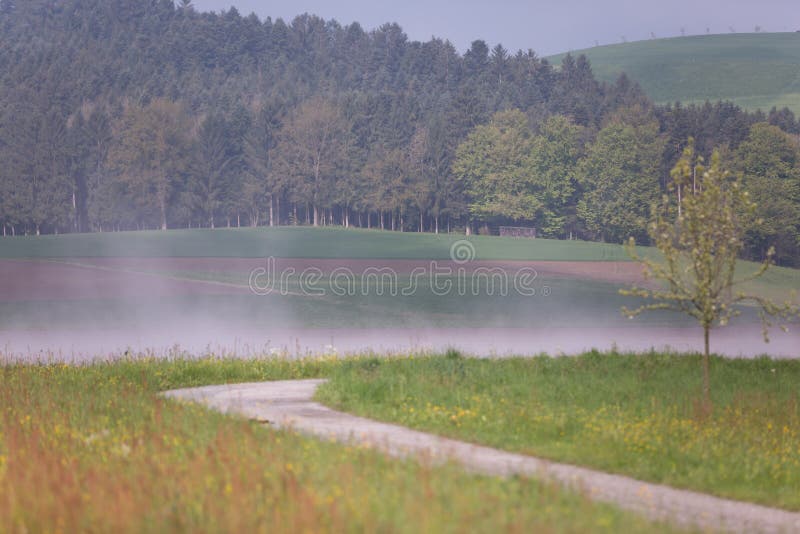 Plattelandsgebieden en Bomen op Misty Morning in de Lente royalty-vrije stock afbeelding Plattelandsgebieden en Bomen op Misty Morning in de Lente royalty-vrije stock afbeelding