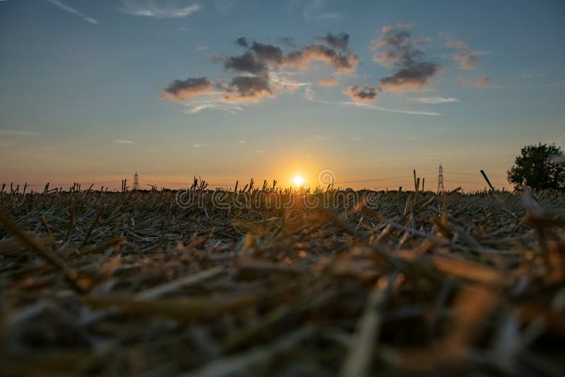 Plattelandsscène van gebieden en elektriciteitspylonen tegen de gouden zonsonderganghemel stock foto's Plattelandsscène van gebieden en elektriciteitspylonen tegen de gouden zonsonderganghemel stock foto's