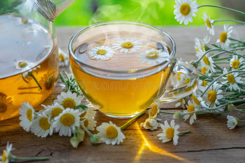 Plattkamomile te chamomile blommor nära teapot och teglas. bakgrund på landsbygden eller landsbygden arkivfoto