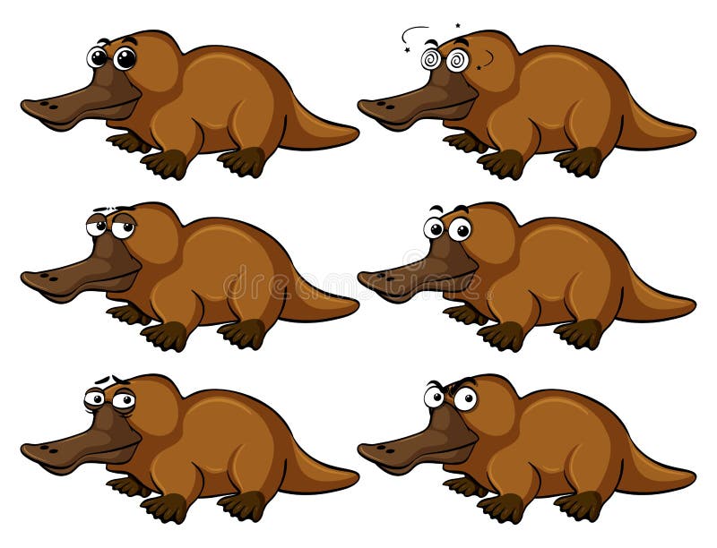 Angry Platypus Stock Illustrations – 7 Angry Platypus Stock