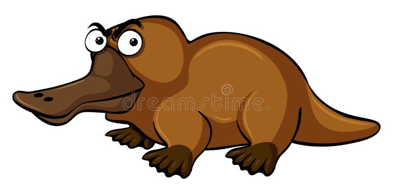 Angry Platypus Stock Illustrations – 7 Angry Platypus Stock