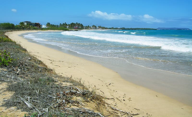 Playa blanca hermosa de la arena en las islas de las Islas Galápagos, Ecuador foto de archivo libre de regalías Playa blanca hermosa de la arena en las islas de las Islas Galápagos, Ecuador foto de archivo libre de regalías