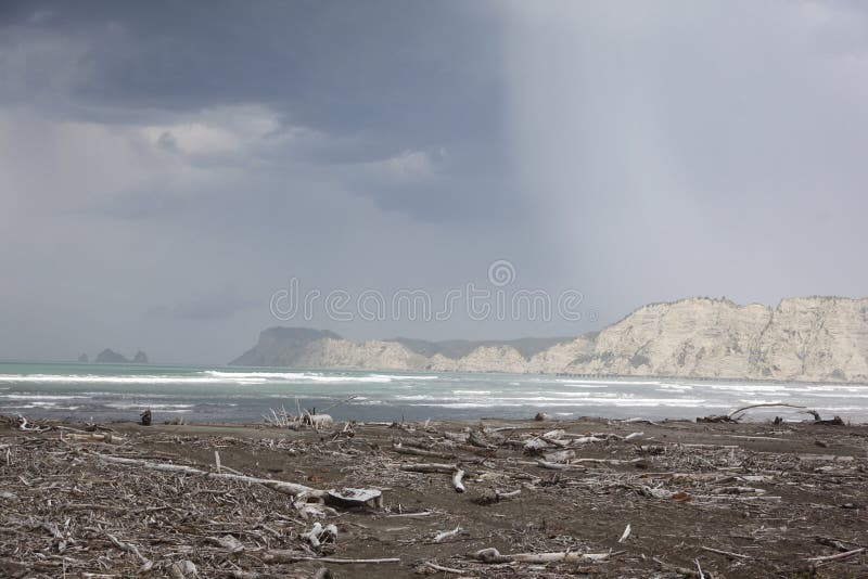 Playa de la madera de deriva imágenes de archivo libres de regalías Playa de la madera de deriva imágenes de archivo libres de regalías