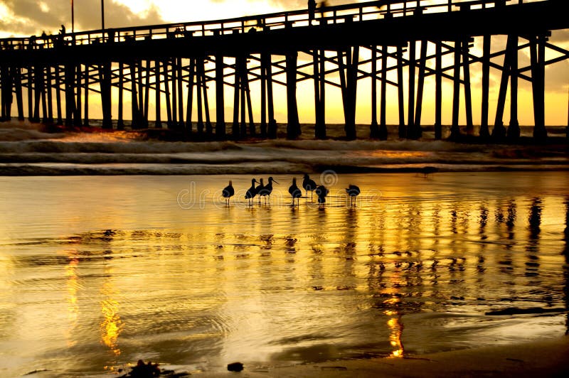 The golden sun setting behind the pier in Newport Beach,CA. The golden sun setting behind the pier in Newport Beach,CA.